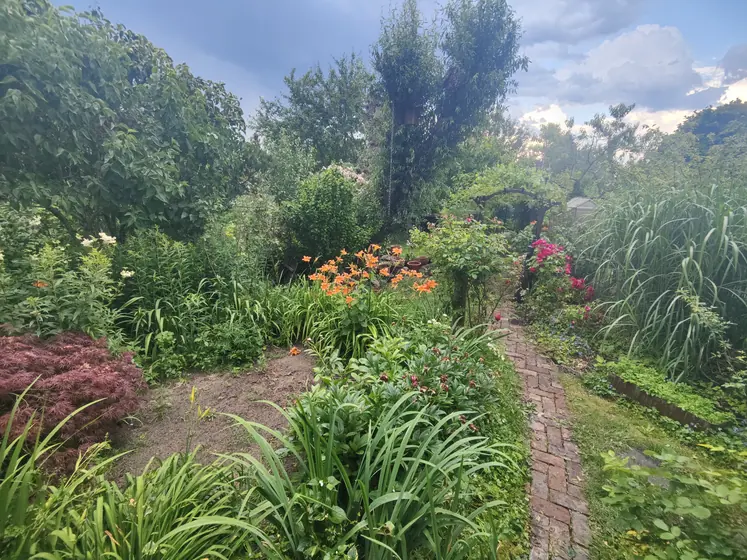 Garden photo 6